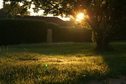 Solnedgång över hus